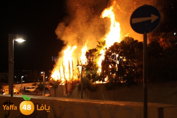 fire minas2 sterer (3).JPG